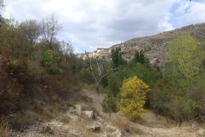 DSC03404