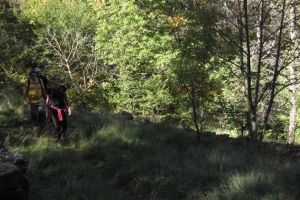 IMG_9286