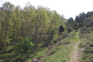 IMG_8659