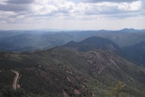 IMG_8674
