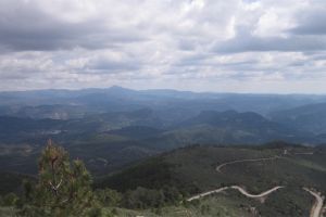 IMG_8676