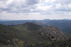 IMG_8677