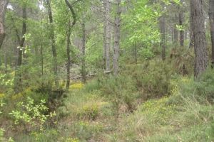 IMG_8681