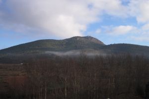 IMG_9374