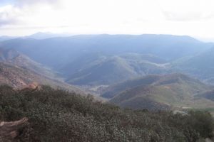 IMG_9390