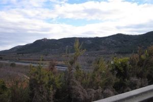 IMG_9458 (Medium)
