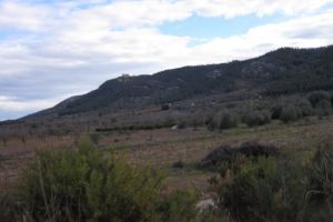 IMG_9460 (Medium)