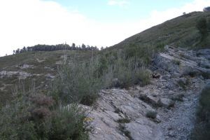 IMG_9464 (Medium)