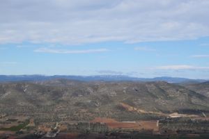 IMG_9474 (Medium)
