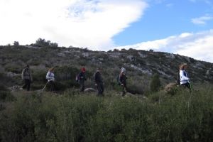 IMG_9475 (Medium)