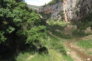 IMG_0172_1000x562