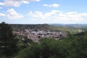IMG_0202_1000x562